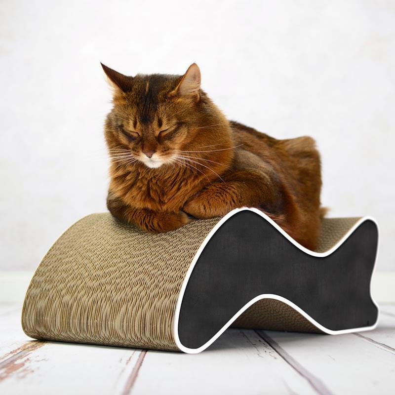 Griffoir Design et Aire de Repos "WaveRest