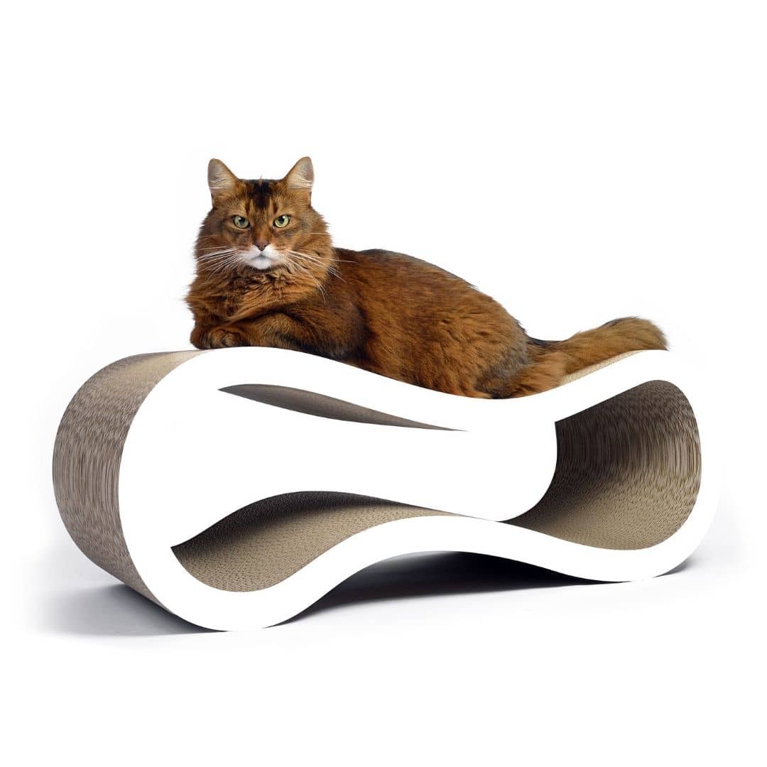 Griffoir Design et Aire de Repos "WaveRest