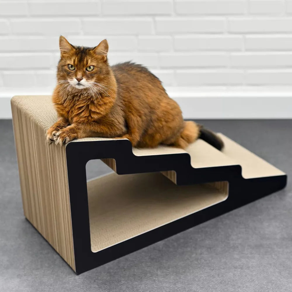 Rampe Griffoir Multifonction en Bois – Mobilité et Stimulation