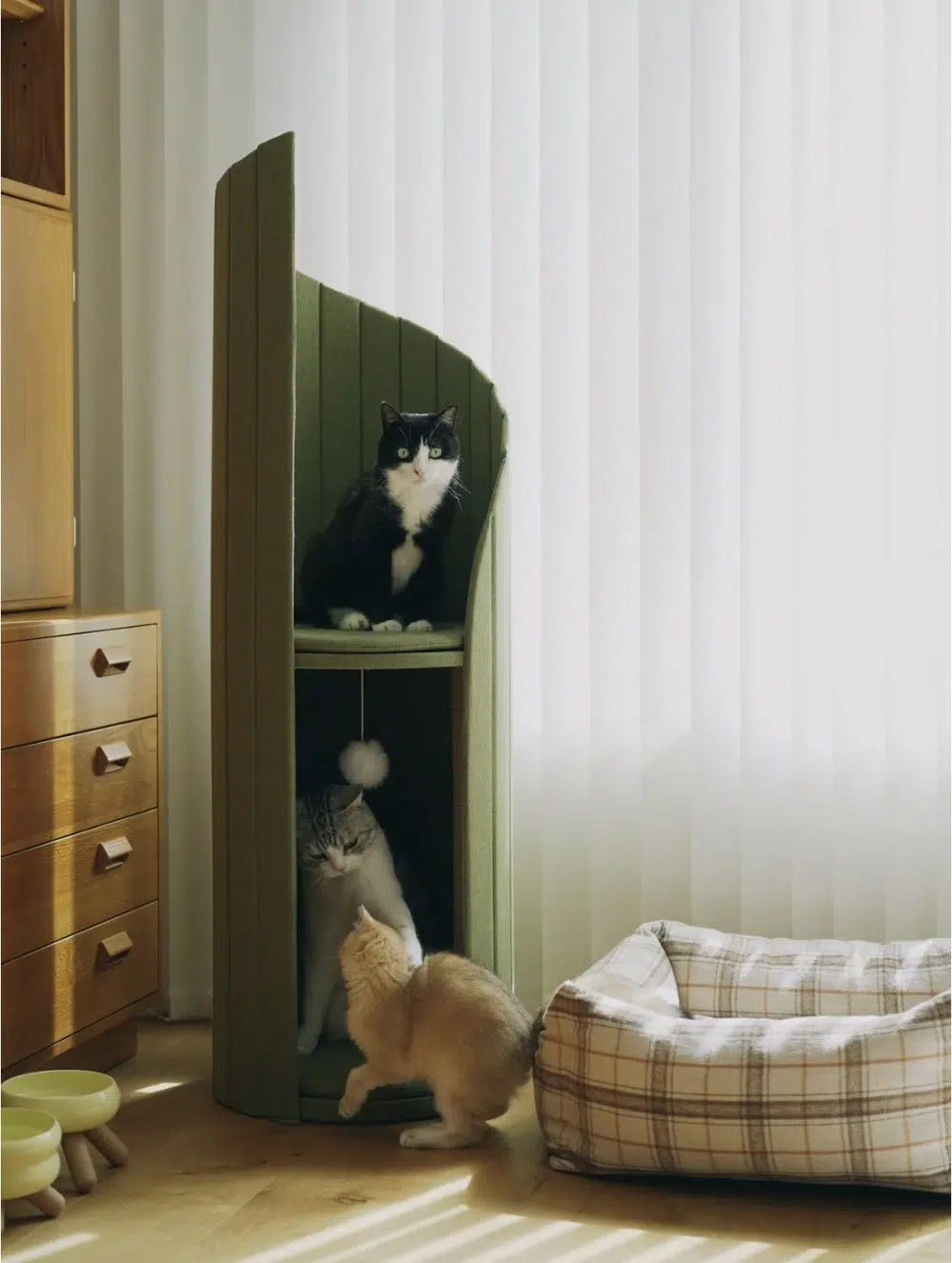 Tour d'Activités / Repos pour Chats