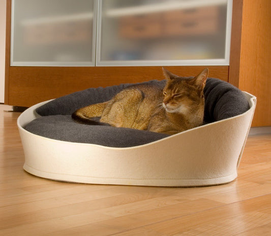 Lit Douillet Design en Feutre avec Coussin