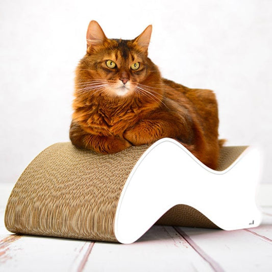 Griffoir Design et Aire de Repos "WaveRest