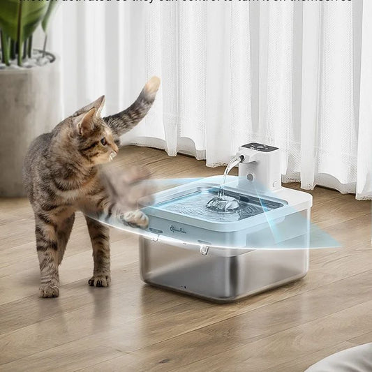 Fontaine à Eau Automatique – Détecteur de Mouvement