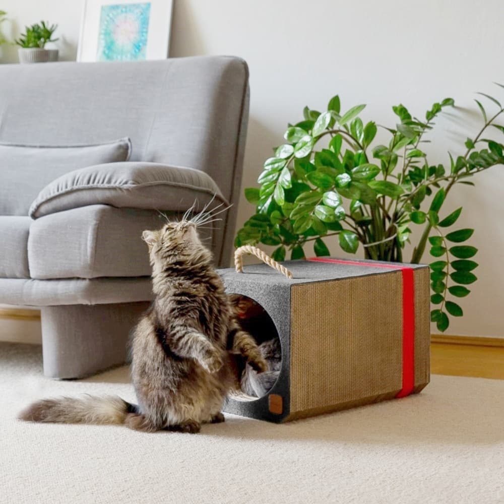 Cube de Jeu et Griffoir pour Chat "PlayTunnel"