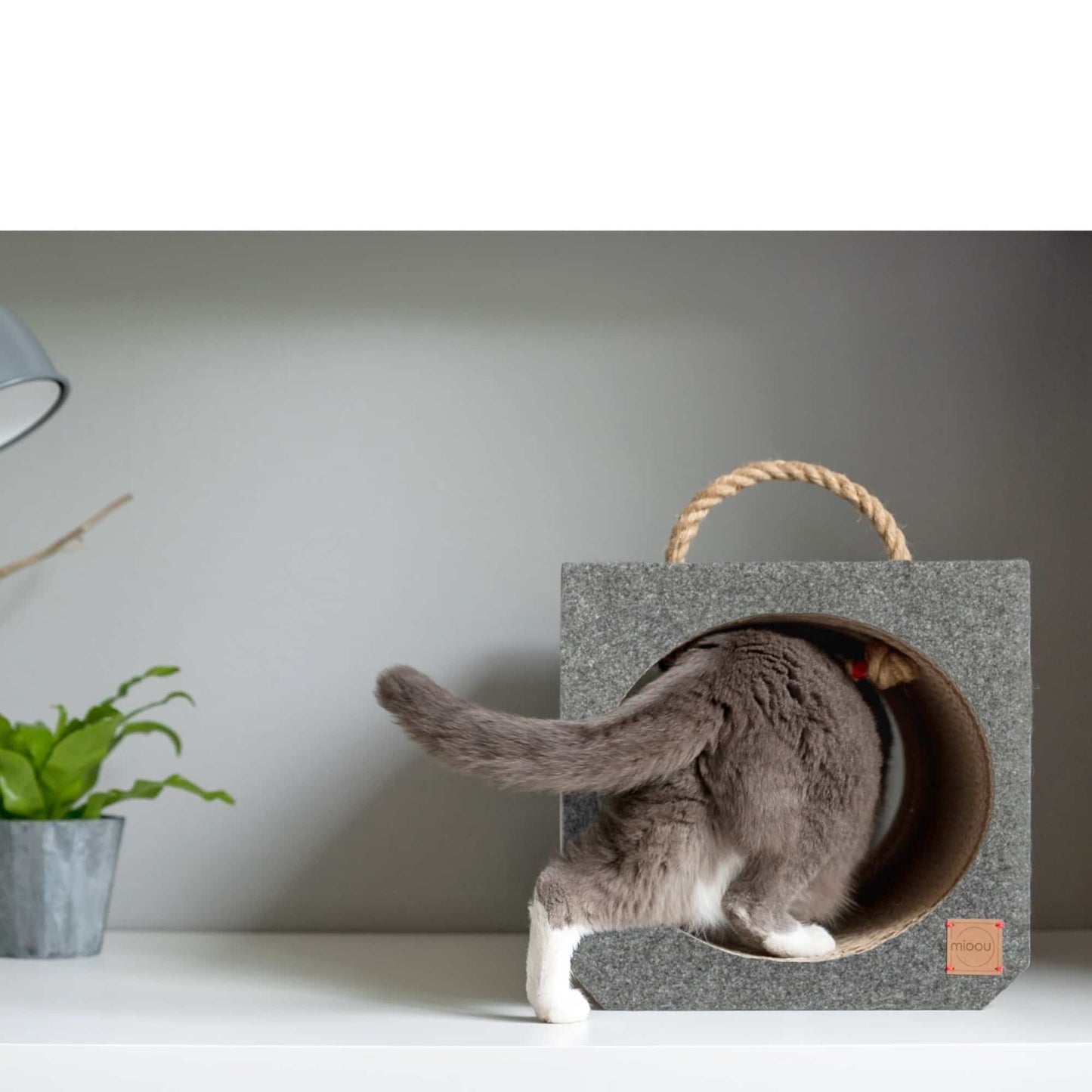 Cube de Jeu et Griffoir pour Chat "PlayTunnel"