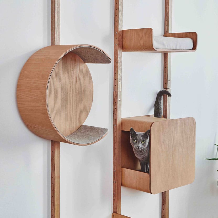 Mur d'Activités Modulaire pour Chats