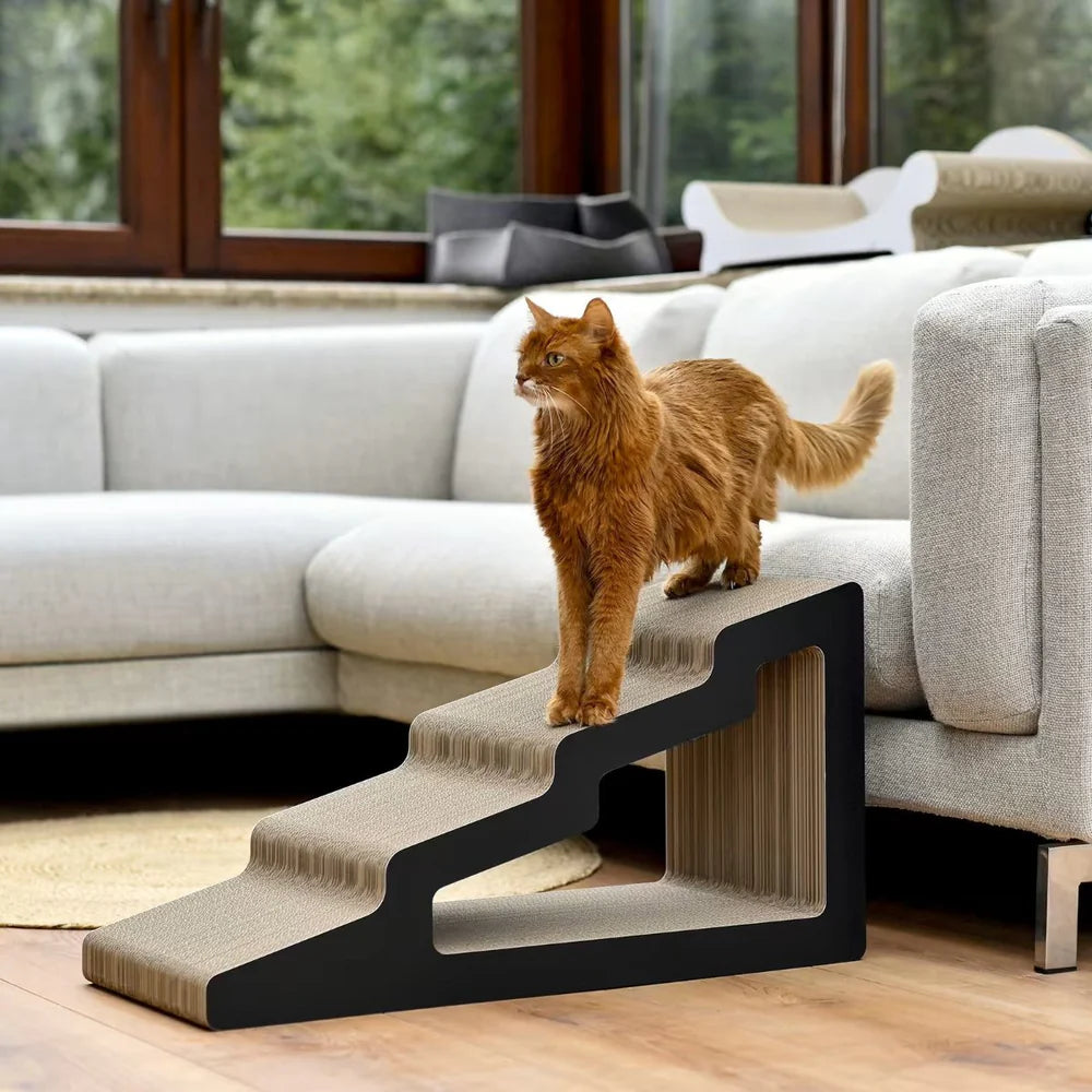 Rampe Griffoir Multifonction en Bois – Mobilité et Stimulation