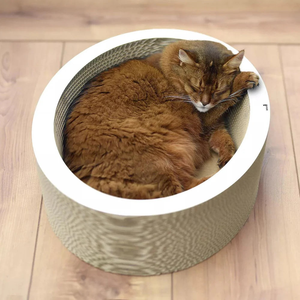 Panier Rond en Bois Design
