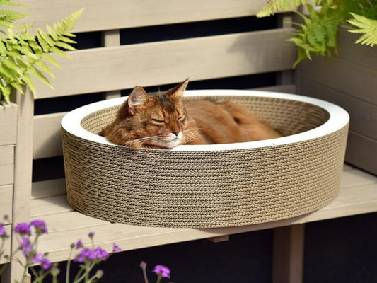 Panier Rond en Bois Design