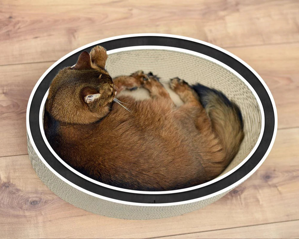 Panier Rond en Bois Design