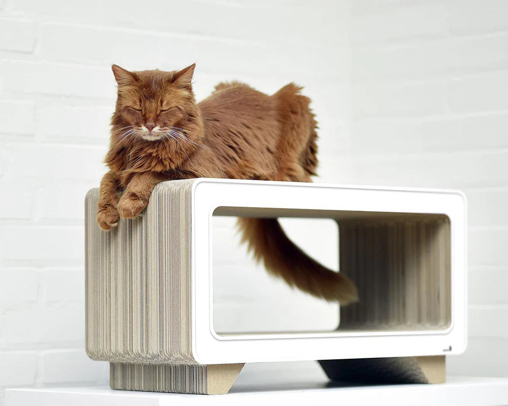 Design Multifonction – Refuge, Griffoir et Aire de Repos