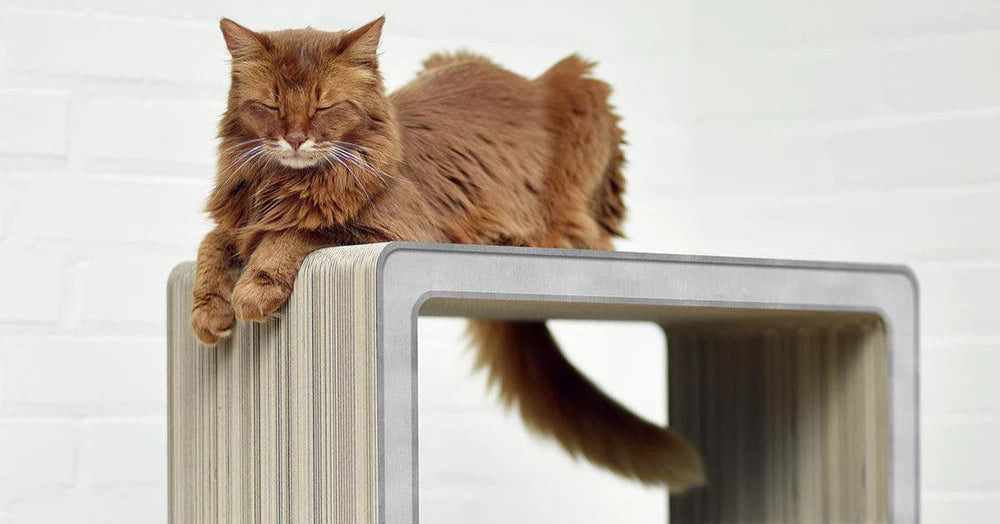 Design Multifonction – Refuge, Griffoir et Aire de Repos