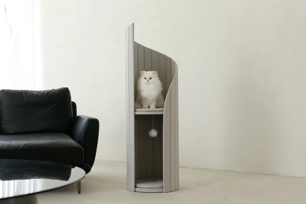 Tour d'Activités / Repos pour Chats